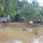 Penanganan Banjir di Desa Makarti, Marangkayu: Tanggapan BPBD Kutai Kartanegara pada Bencana November 2024